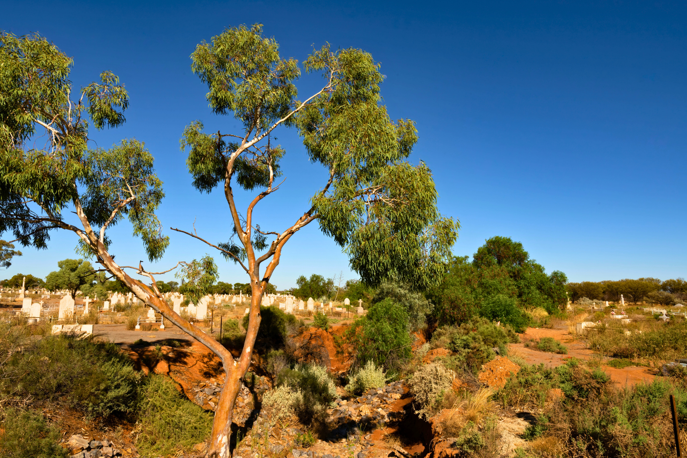 broken hill, new south wales (3).webp